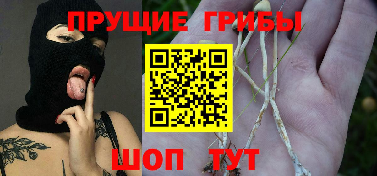 Псилоцибиновые грибы MAGIC MUSHROOMS  Вход с VPN  Междуреченск 