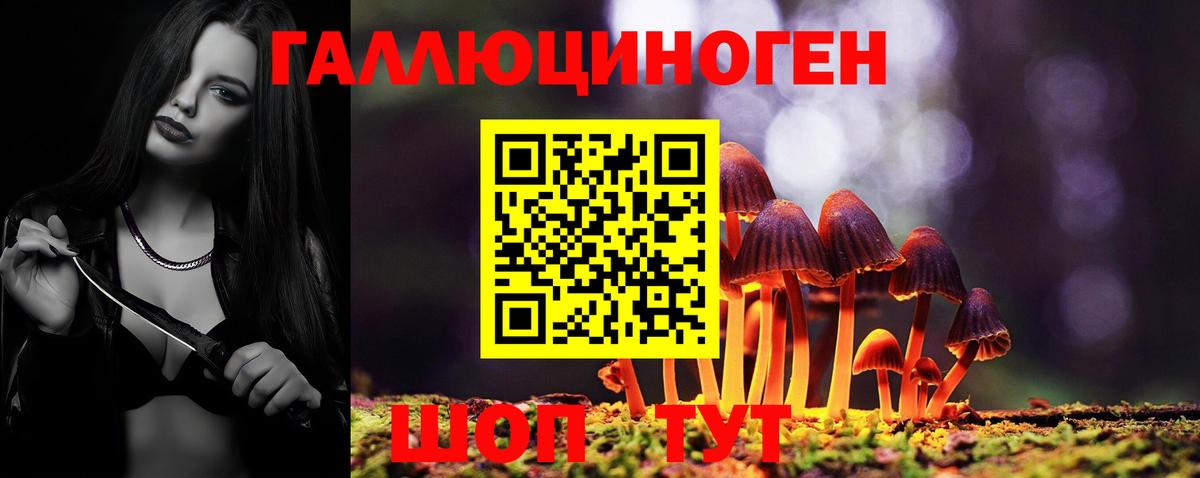 Псилоцибиновые грибы Psilocybine cubensis Междуреченск
